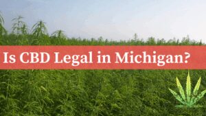 Is-CBD-Legal-in-Michigan | Calmly Rooted CBD in Michigan