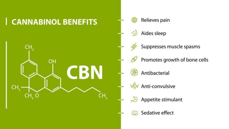 CBN Facts | Calmly Rooted CBN Facts
