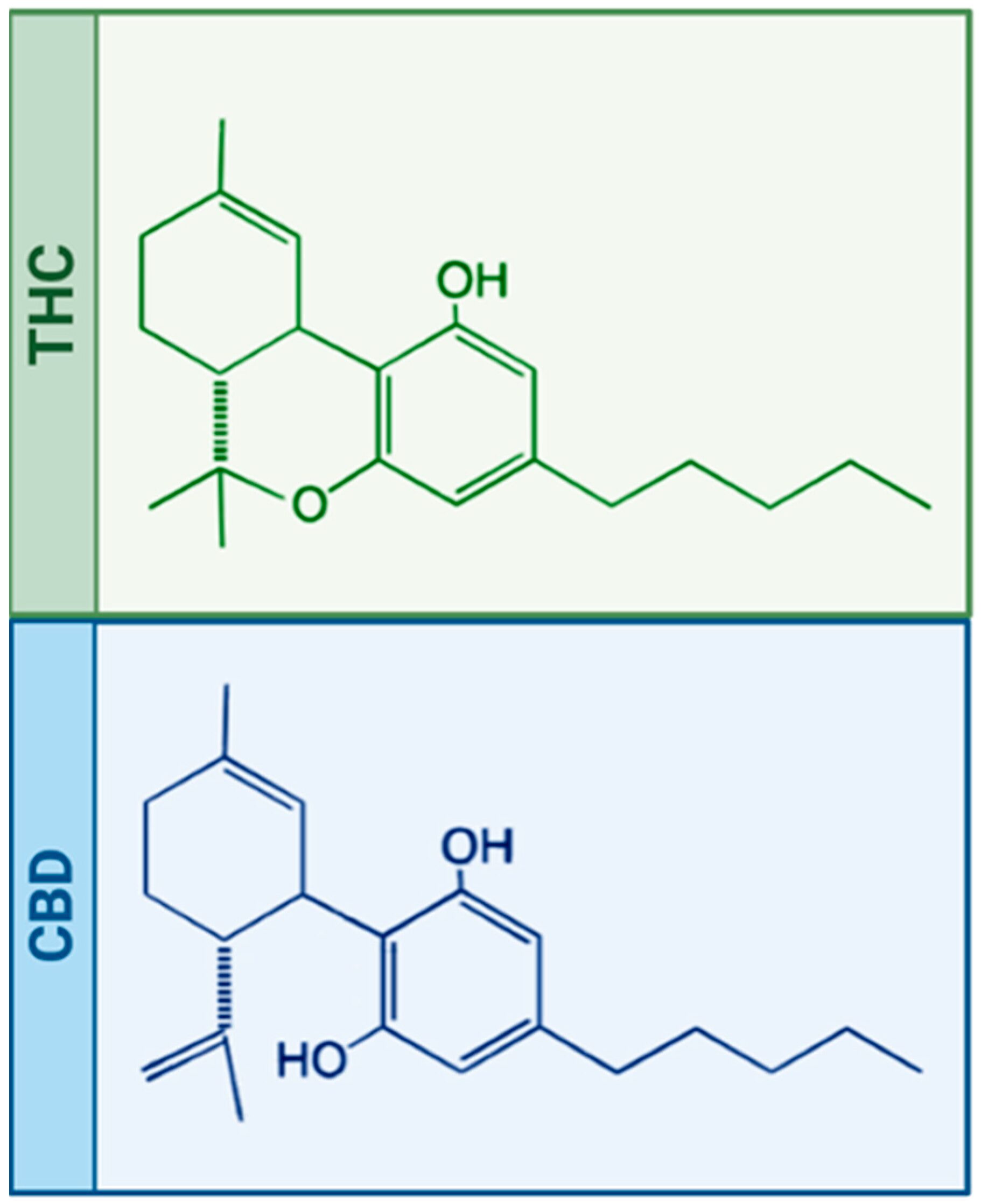 THC CBD | Calmly Rooted cbd formula