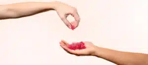 Premium CBD Gummies | Calmly Rooted Premium CBD Gummies