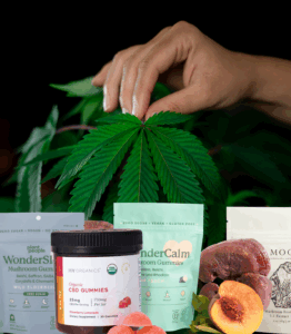 Slice 860 | Calmly Rooted CBD Product for anxiety