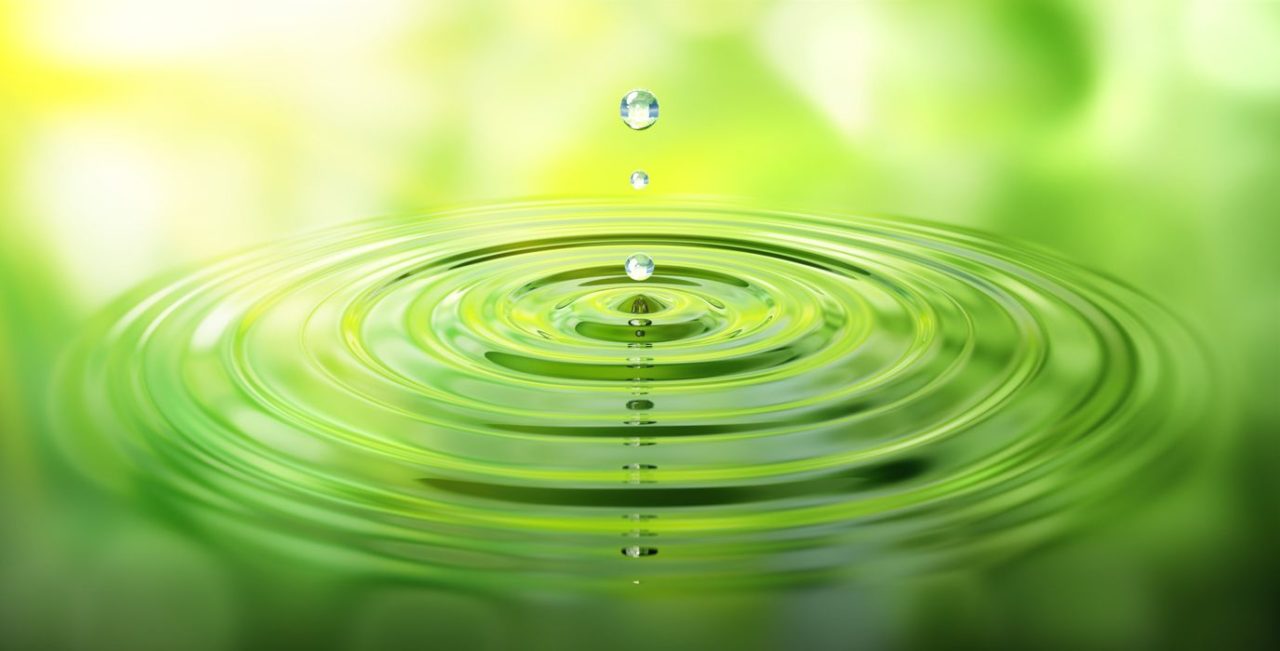 Premium CBD Oil | Calmly Rooted Premium CBD Oil
