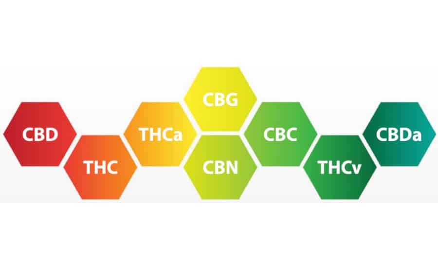 CBD CBN | Calmly Rooted CBD and CBN offer a unique set of benefits without the mind-altering properties.