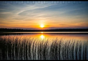 image | Calmly Rooted image