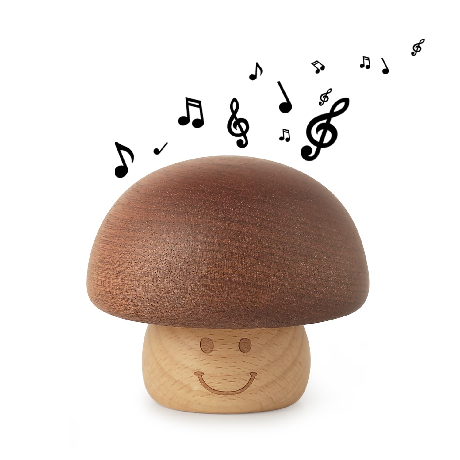 Music and Mushrooms | Calmly Rooted Music and Mushrooms