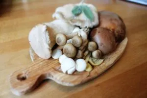 Mushroom Mastery | Calmly Rooted Unlocking Functional Fungi for Calm Mind, Sound Sleep, and Stress Relief