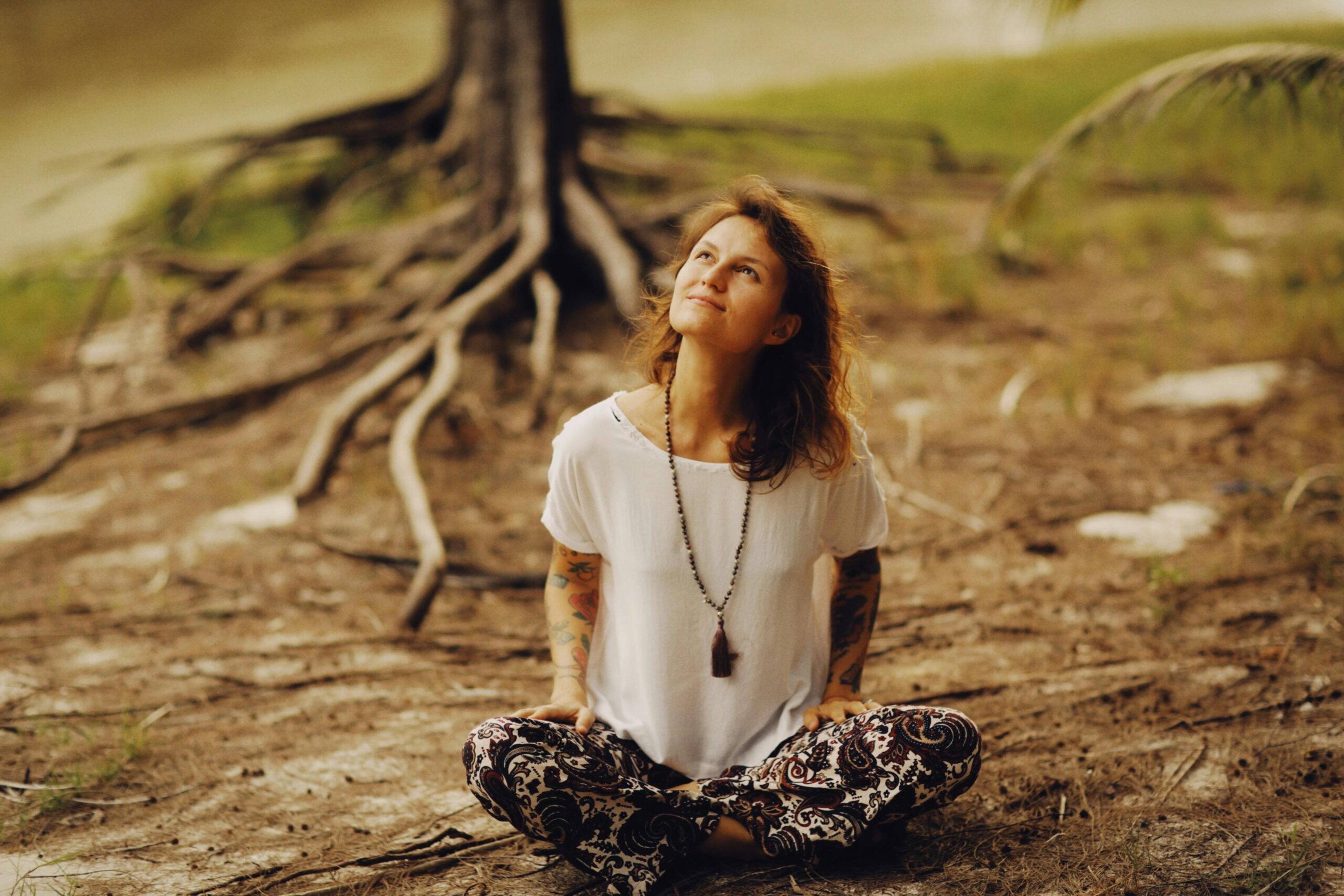 calmly rooted | Calmly Rooted calmly rooted