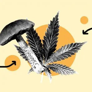 CBD & Functional Mushrooms