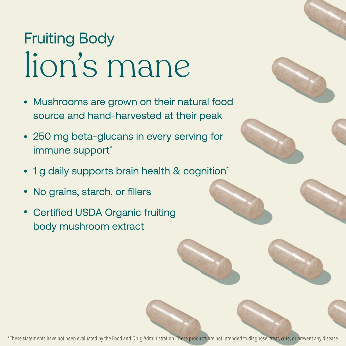 true-grace-lions-mane-fruiting-body-product-information-ingredient-details | Calmly Rooted