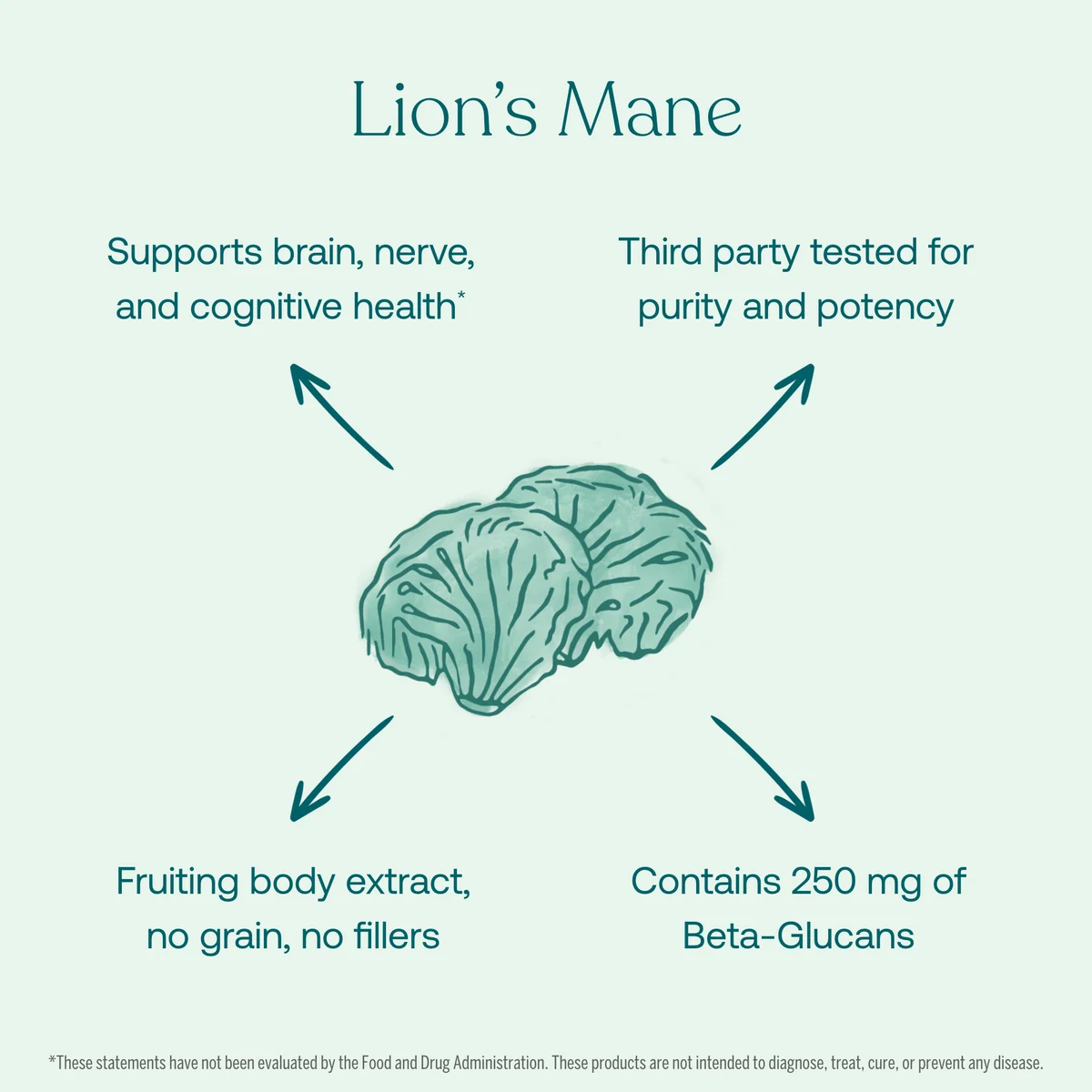 true-grace-lions-mane-product-benefits-ingredient-information | Calmly Rooted