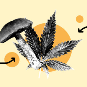 CBD & Functional Mushrooms