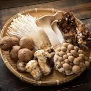 Fun with Fungi