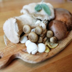 Unlocking Functional Fungi for Calm Mind, Sound Sleep, and Stress Relief